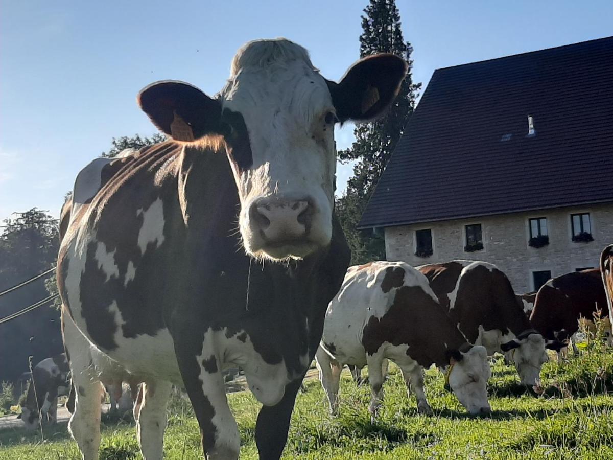 Gite Chez La So ! Avec Visite A La Ferme Arcon  Exterior photo